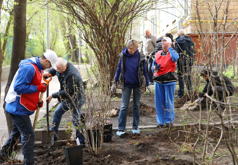 Весна на улице Дурова: сотрудники Дома ветеранов и волонтёры «Лукойл-МЦПБ» превратили субботник в праздник добра